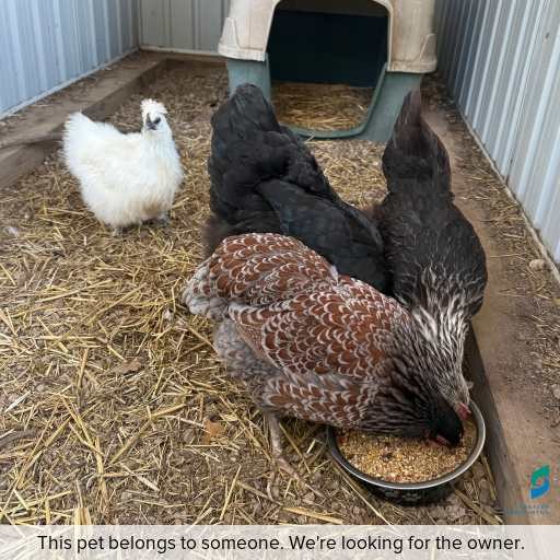 Photo of other with ID of : L872, L873, L874, L875.