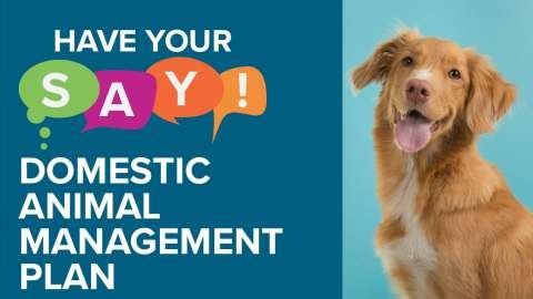 DAMP Consultation Webtile