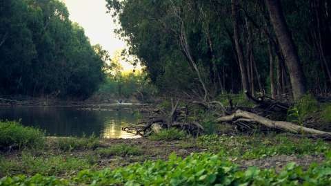 Goulburn River Fishing