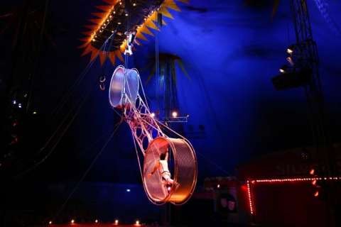 wheel-of-steel