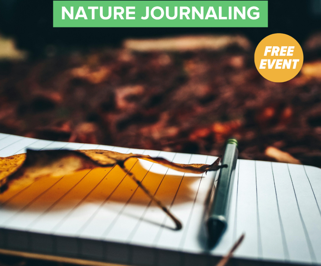 Cover image for event - Nature Journaling