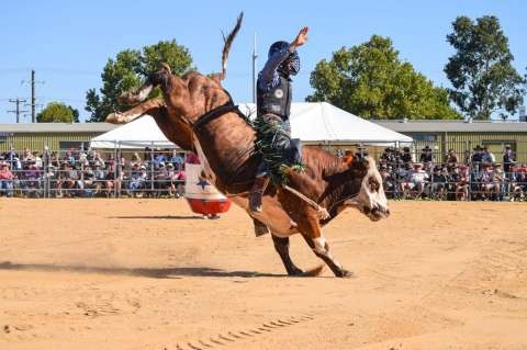 1771201797-Shepparton_Rodeo_2025_-_full_res_39