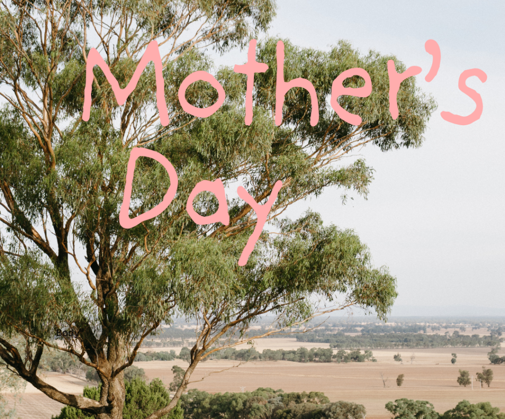 Cover image for event - Mother's Day Picnic