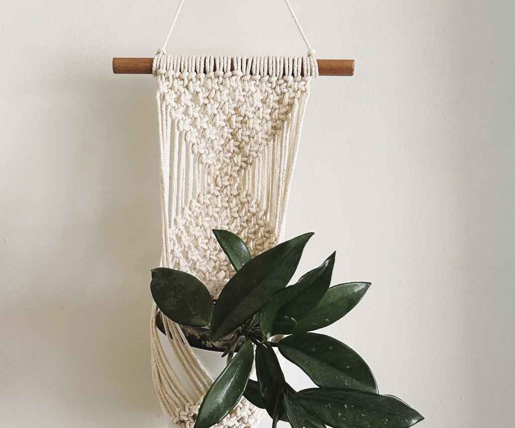 Cover image for event - Macrame Wall Plant Hanger Workshop