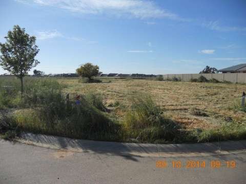 Long grass 