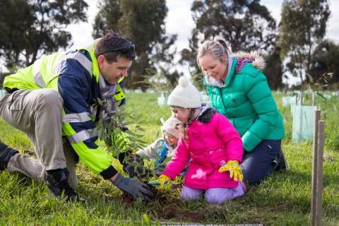 One Tree Per Child - 20160627 - 3770
