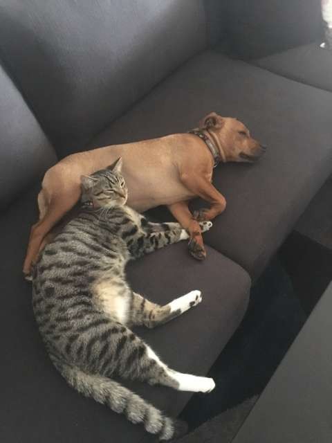 Kevin and Trevor