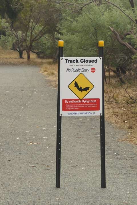 bats1