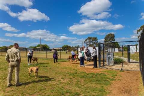 Off Leash Dog Park - 20171012 - 9878