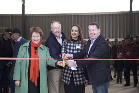 tally opening