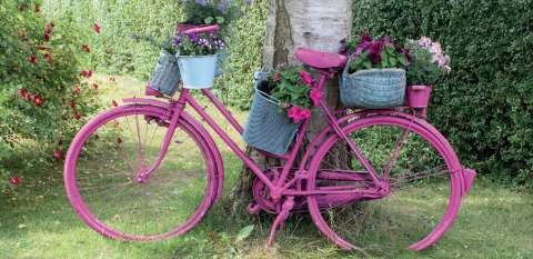 Art Bike
