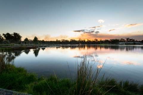 SheppartonLake-HighRes-4733