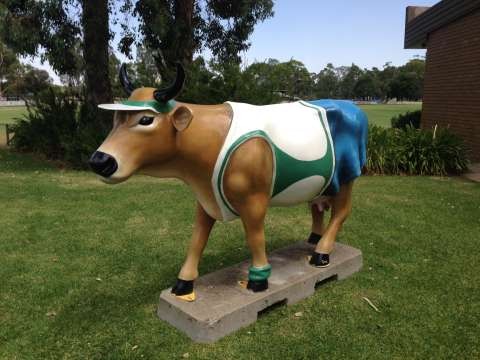 5 c tennis cow