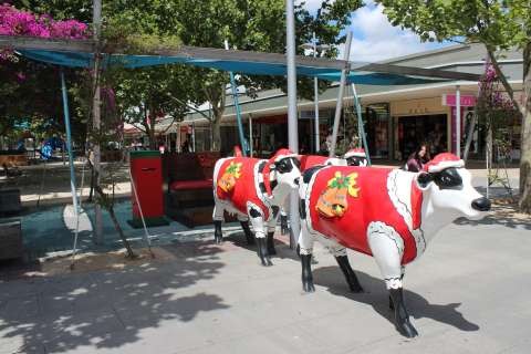 IMG 4575
