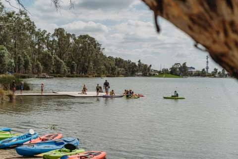 Paddlehub 16 02 2020-5