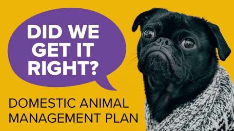 DAMP Consultation Webtile