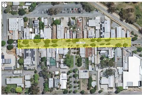 Image 04 DSC00014 28 July 2022 Lingy 1