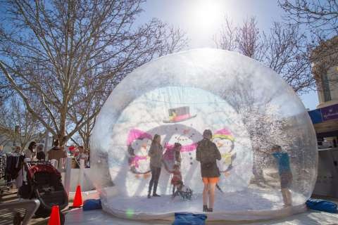 Winter City Market - 20170825 - 0511