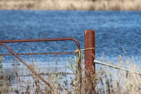 floods fence post and water