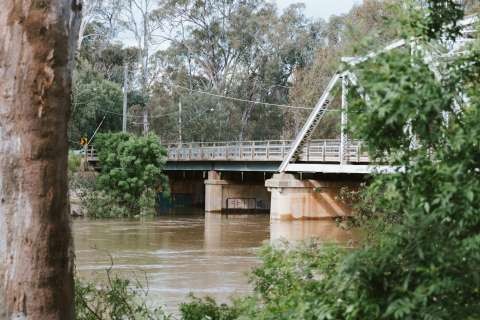 FLOOD 2022 - October 21 2022 D5A3859 LINGY H