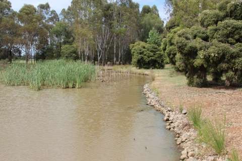 Lake Bartlett Official Opening - 20171124 - 0107