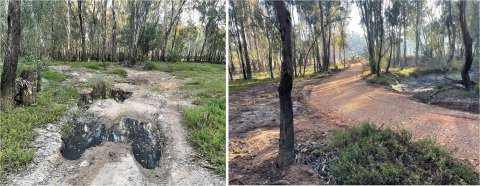 Sand Hills - combined3