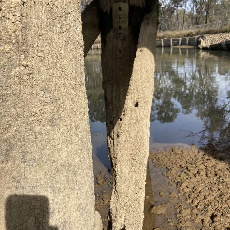 Pier skinny at bottom shows serious wash away