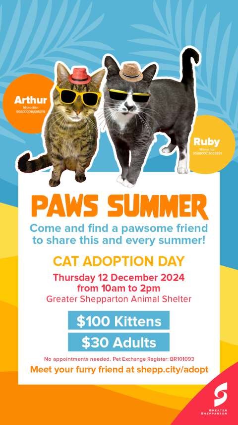 Summer Pet Adoption Story