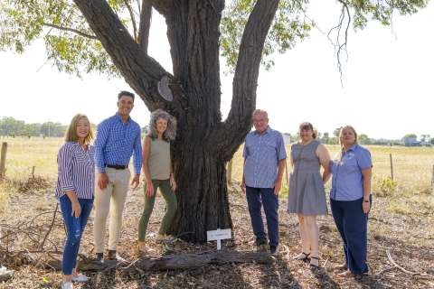 Calder Woodburn Memorial Avenue  DSC9083