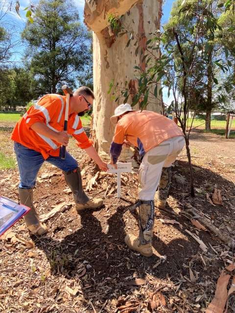 G G Parkin - Nameplate renewal 2
