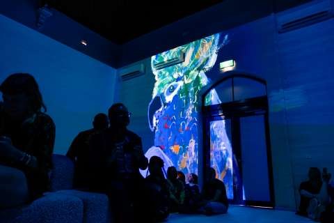 Disruption - An Immersive Art Experience - Photo by Abram Rasmussen - ARC Media - 5