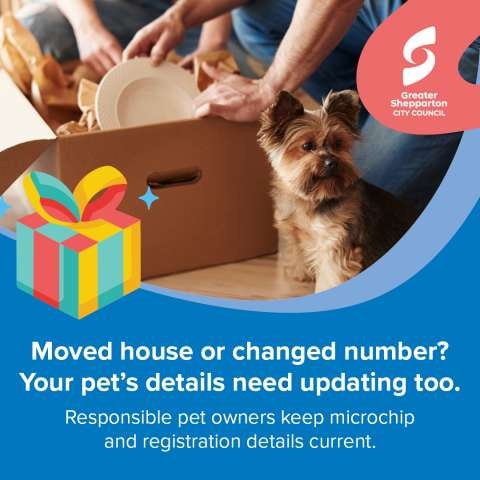 Resposible Pet Ownership - Social media - Static Posts 06